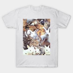 Rabbits T-Shirt